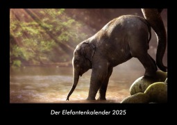 Cover-Bild zum Titel 'Der Elefantenkalender 2025 Fotokalender DIN A3' von 'Tobias Becker'