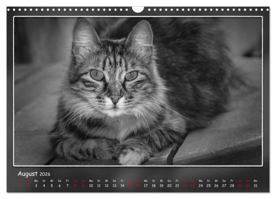 additionalImage13