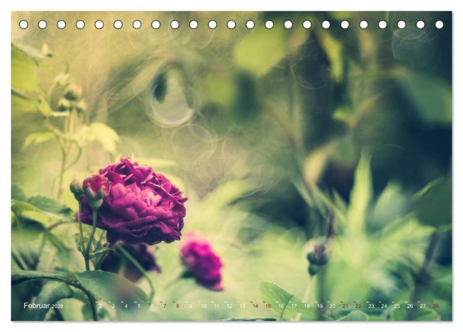 additionalImage7