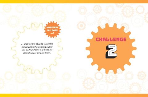 additionalImage7