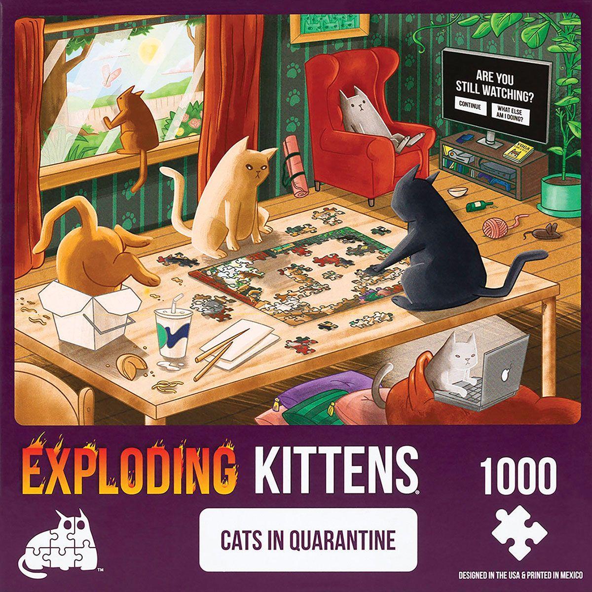810083042442