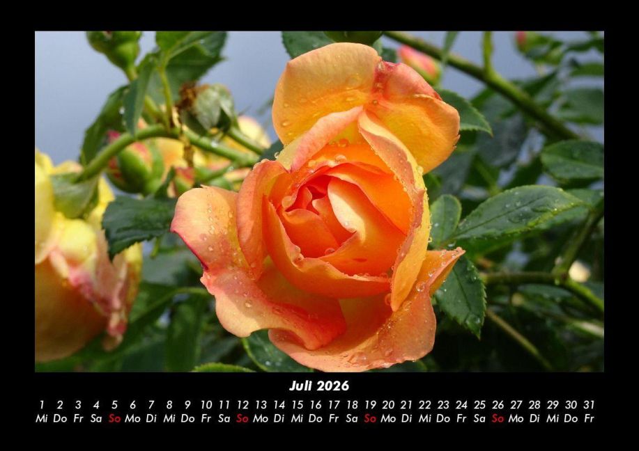 additionalImage11