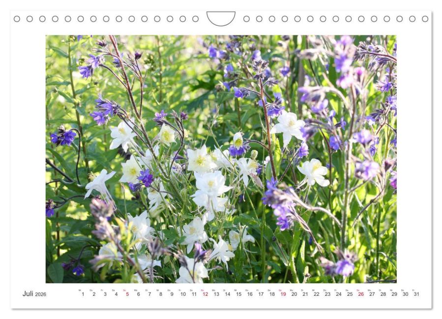 additionalImage12