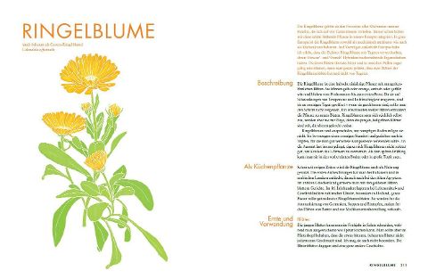 additionalImage12