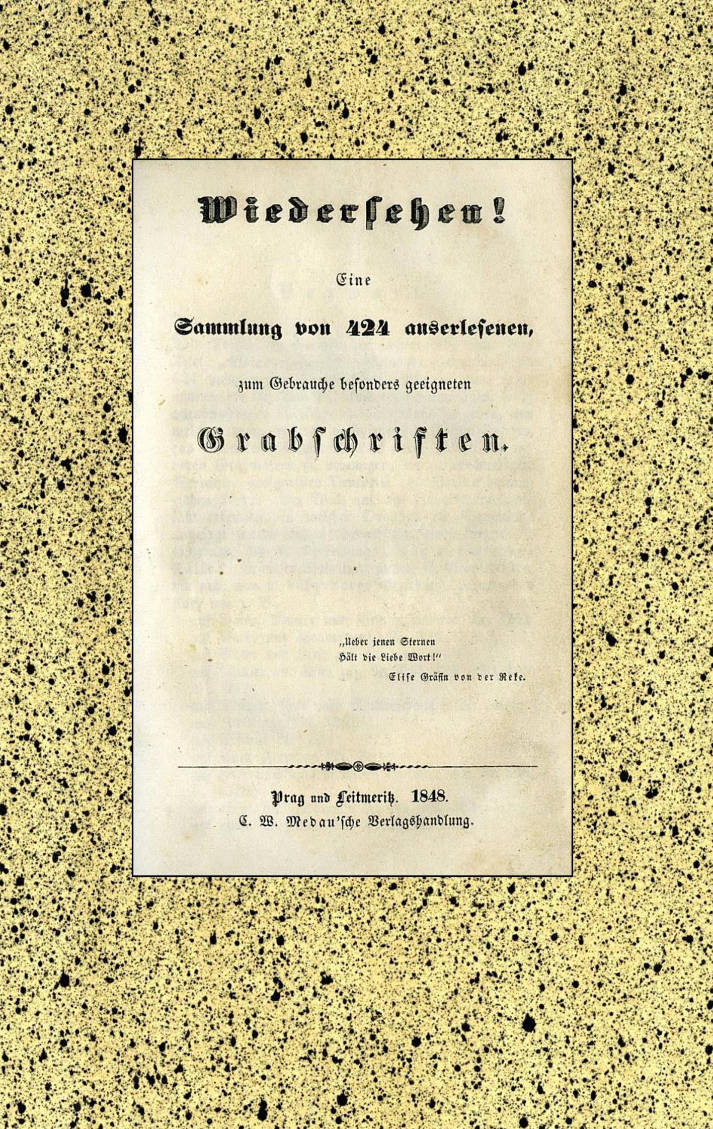 9783749449538