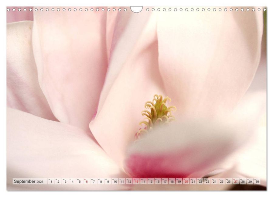 additionalImage14