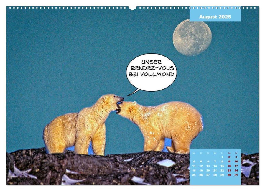 additionalImage13
