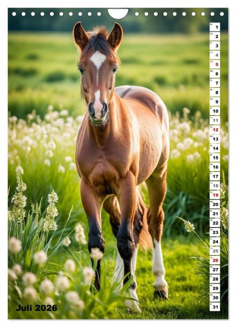additionalImage12