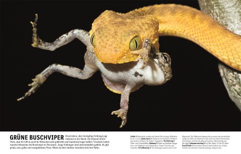 Bildprobe 6