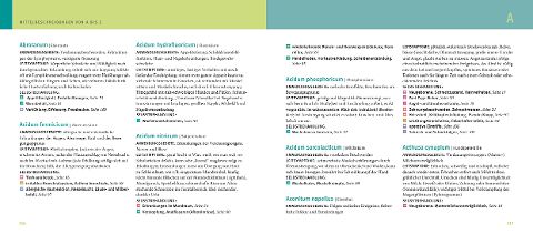 Bildprobe 7