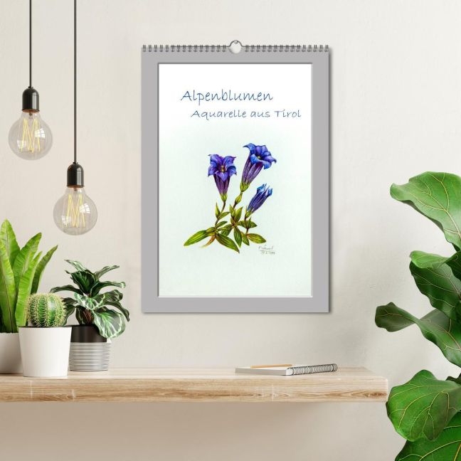 additionalImage1