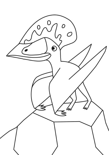 additionalImage4