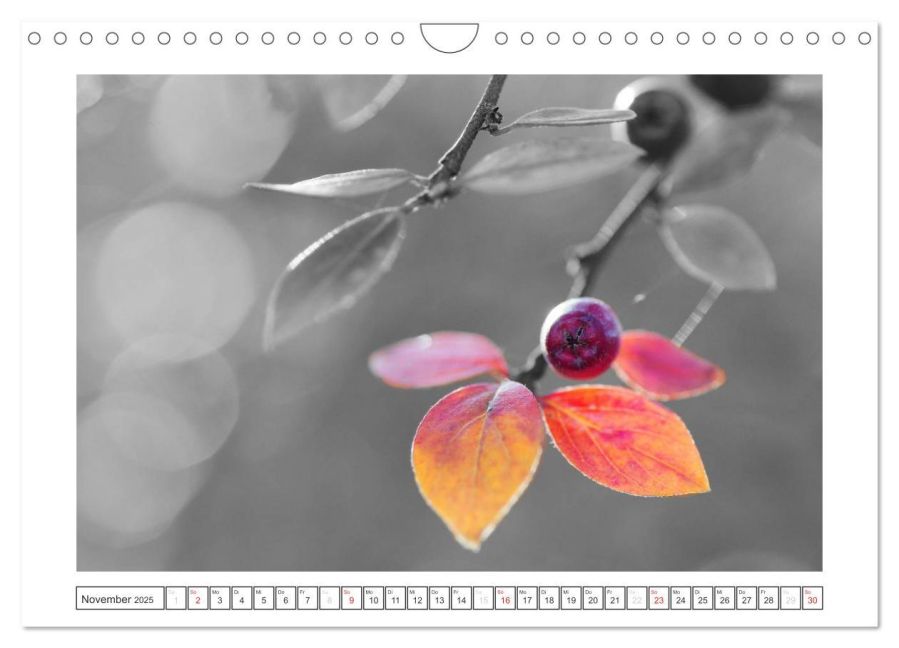 additionalImage3