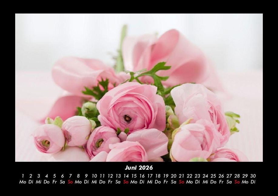 additionalImage10