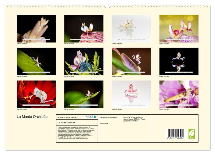 additionalImage4