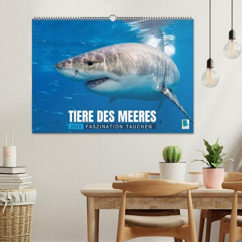additionalImage1