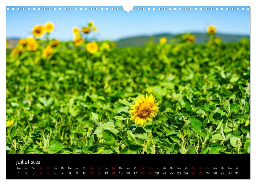 additionalImage12