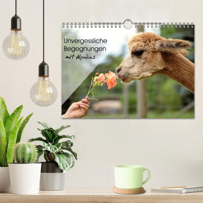 additionalImage1