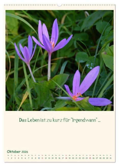 additionalImage1