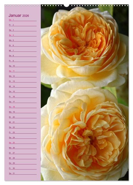 additionalImage5