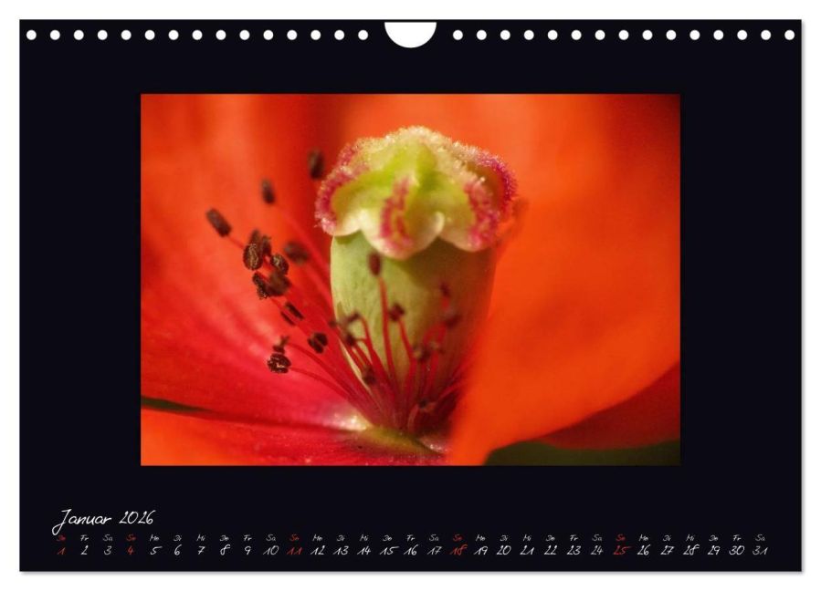 additionalImage6
