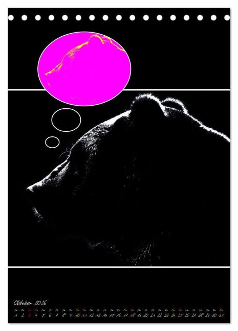 additionalImage2