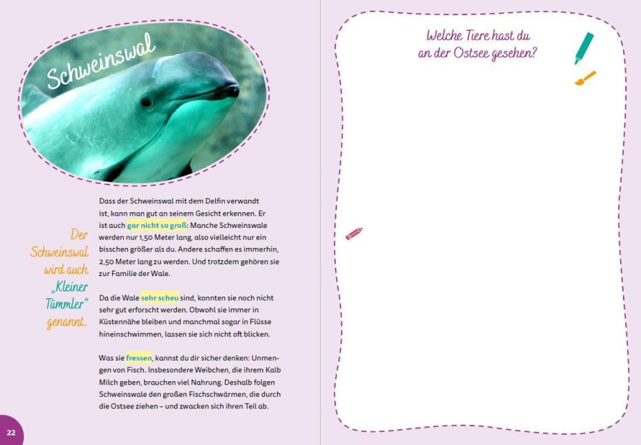 additionalImage2