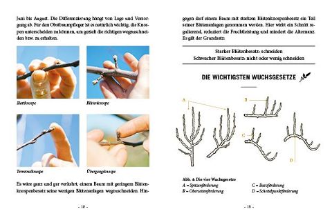 additionalImage4