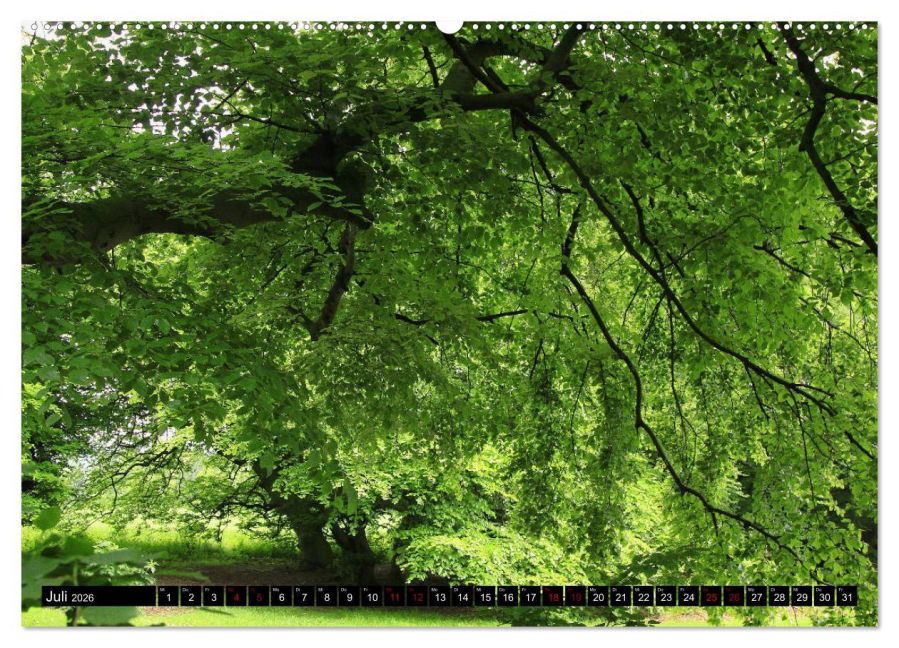 additionalImage11