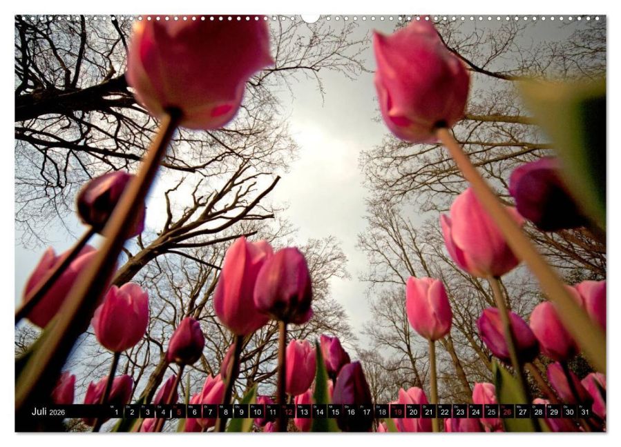 additionalImage12