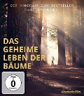Cover-Bild zum Titel 'Das geheime Leben der Bäume' von 'Jörg Adolph, Franziska Henke'