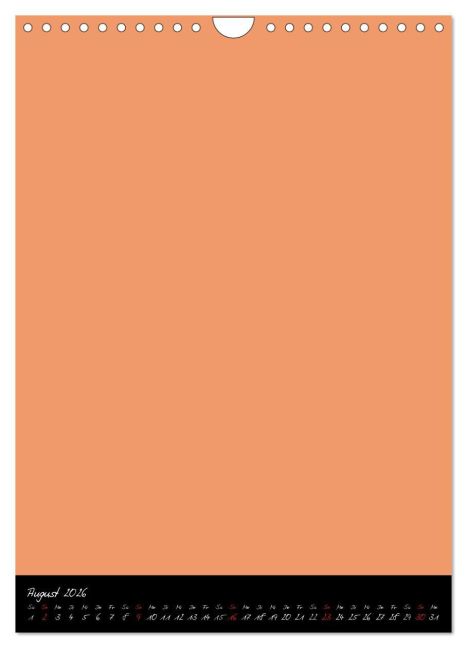 additionalImage13