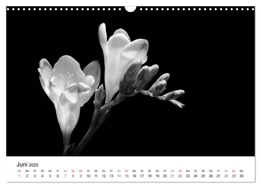 additionalImage11