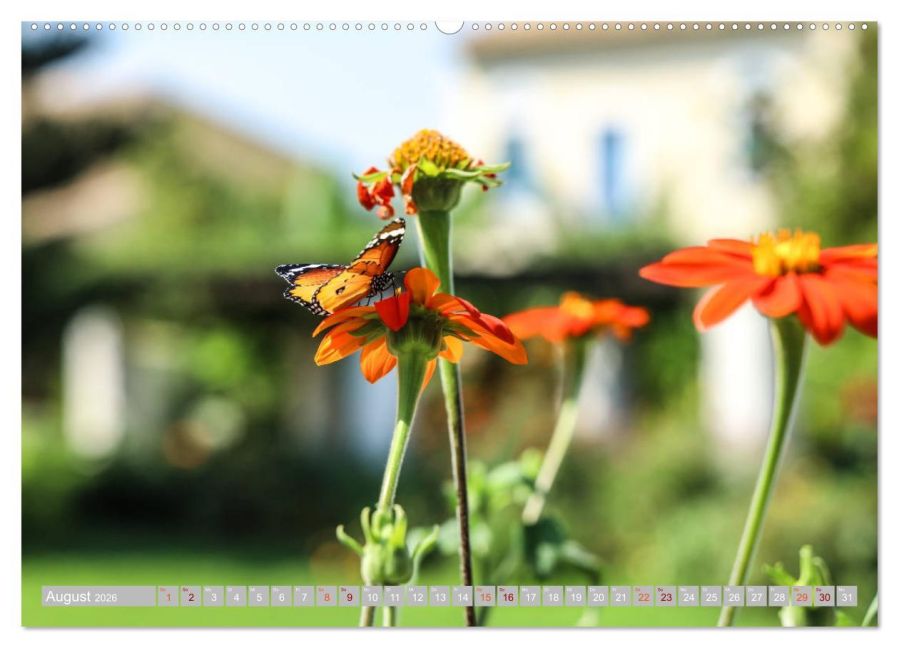 additionalImage12