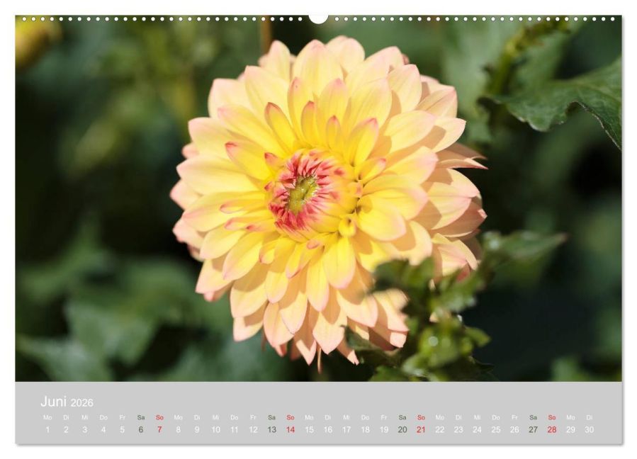 additionalImage11