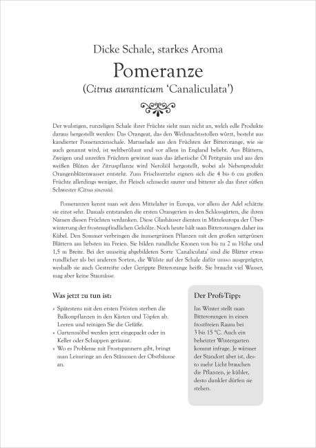 additionalImage6