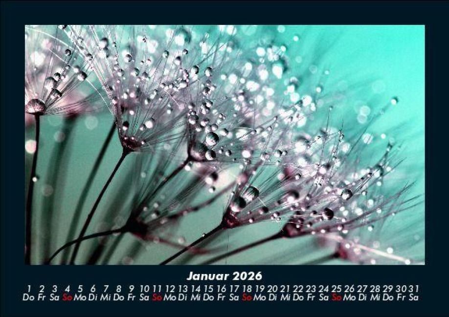 additionalImage5