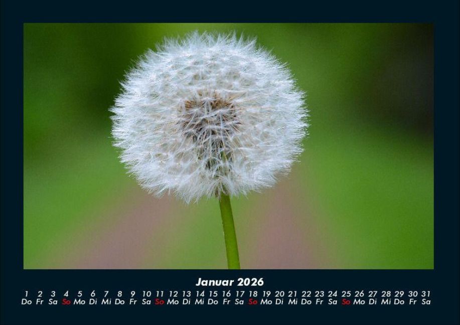 additionalImage5