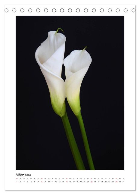 additionalImage8