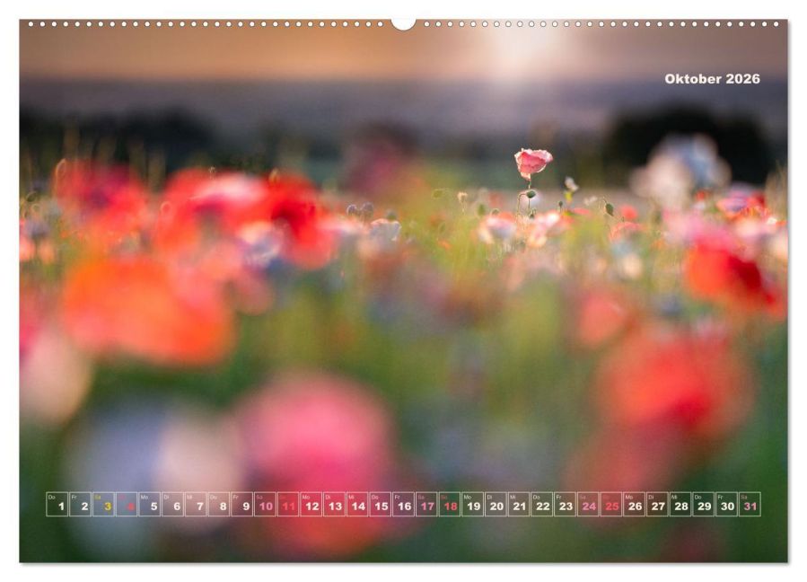 additionalImage2