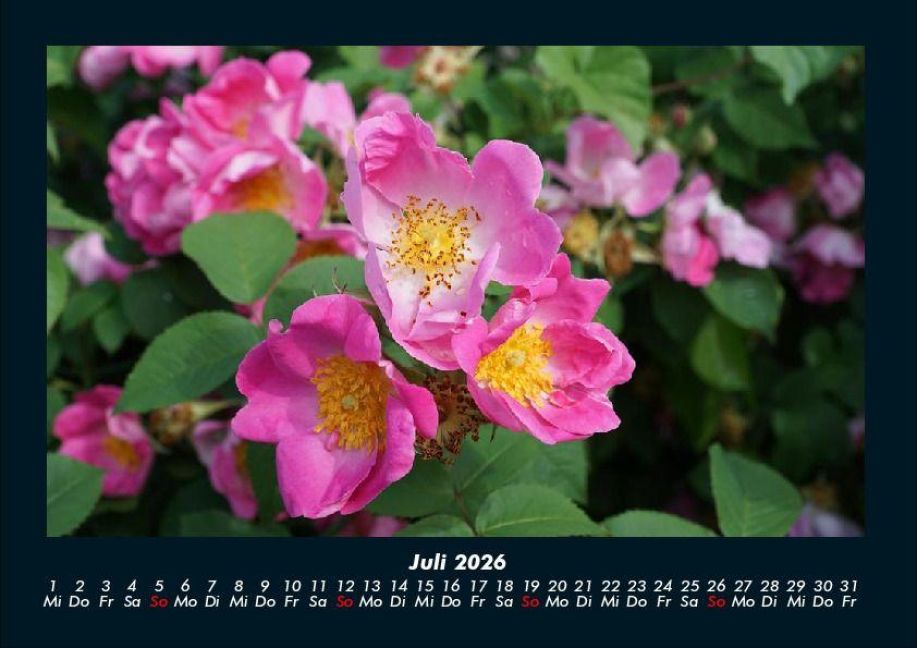 additionalImage11
