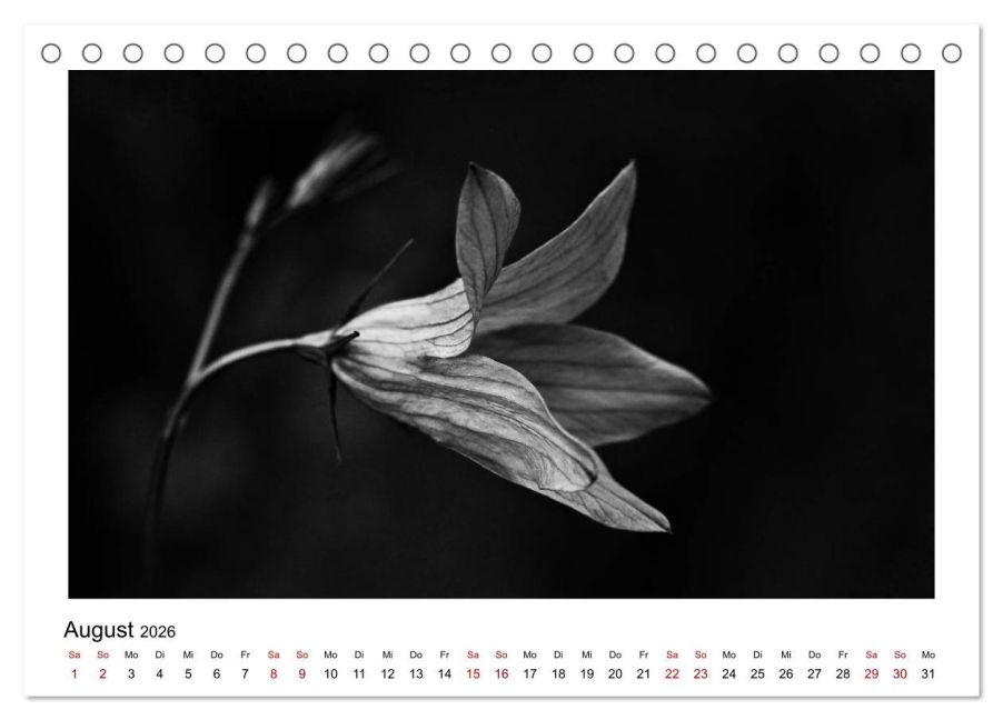 additionalImage13