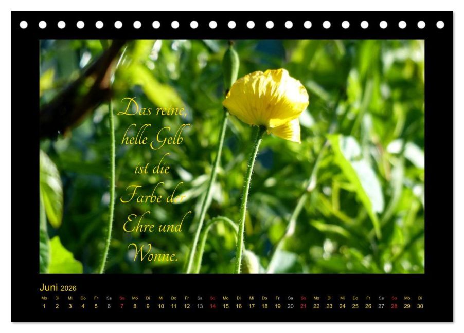 additionalImage11