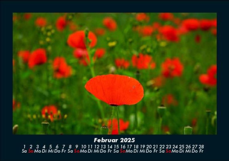 additionalImage6
