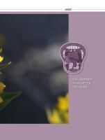 additionalImage11