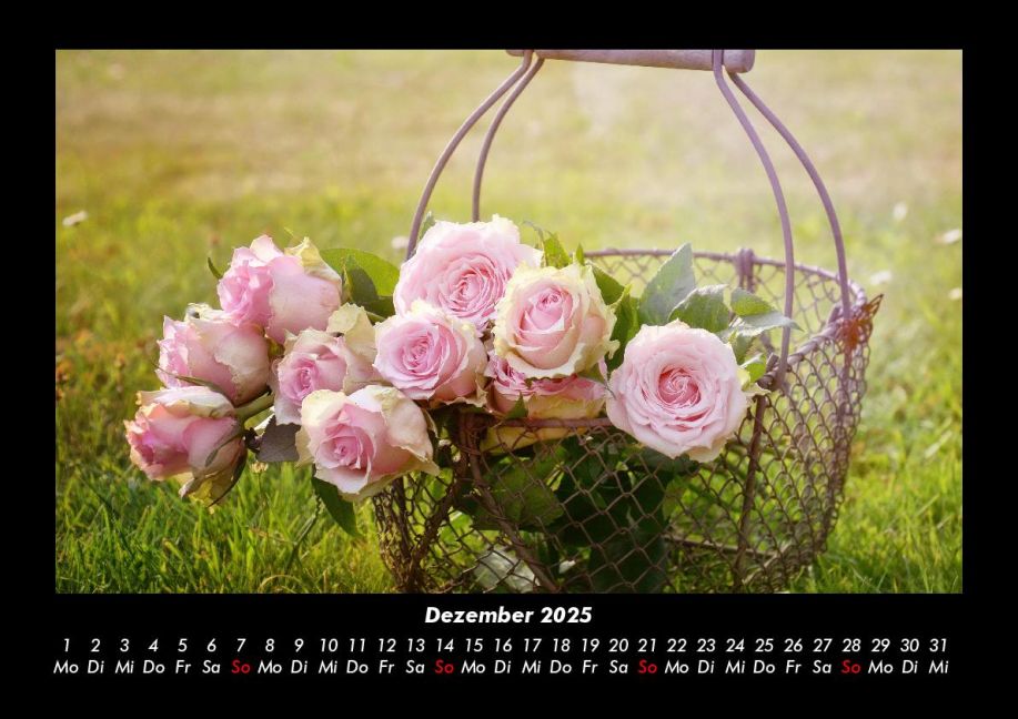 additionalImage4