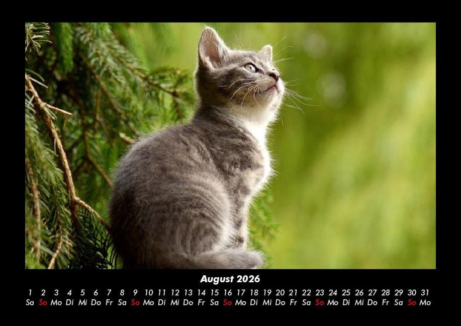 additionalImage12