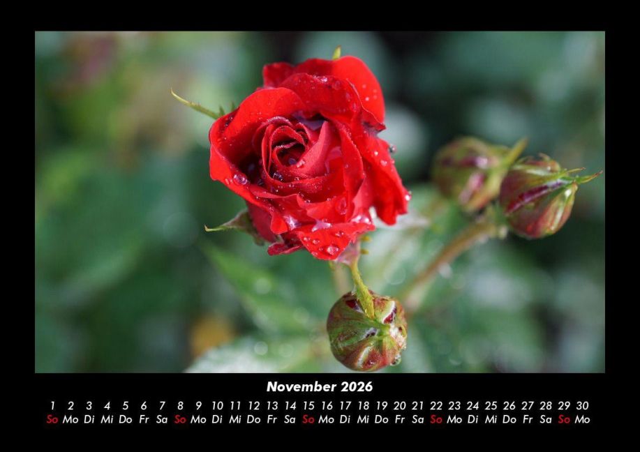 additionalImage3