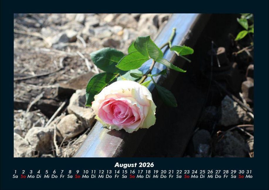 additionalImage12
