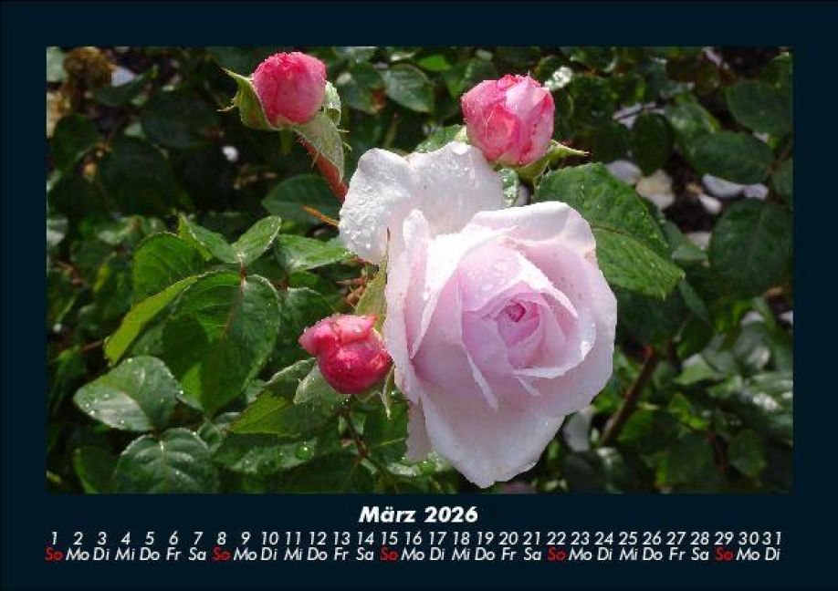 additionalImage7